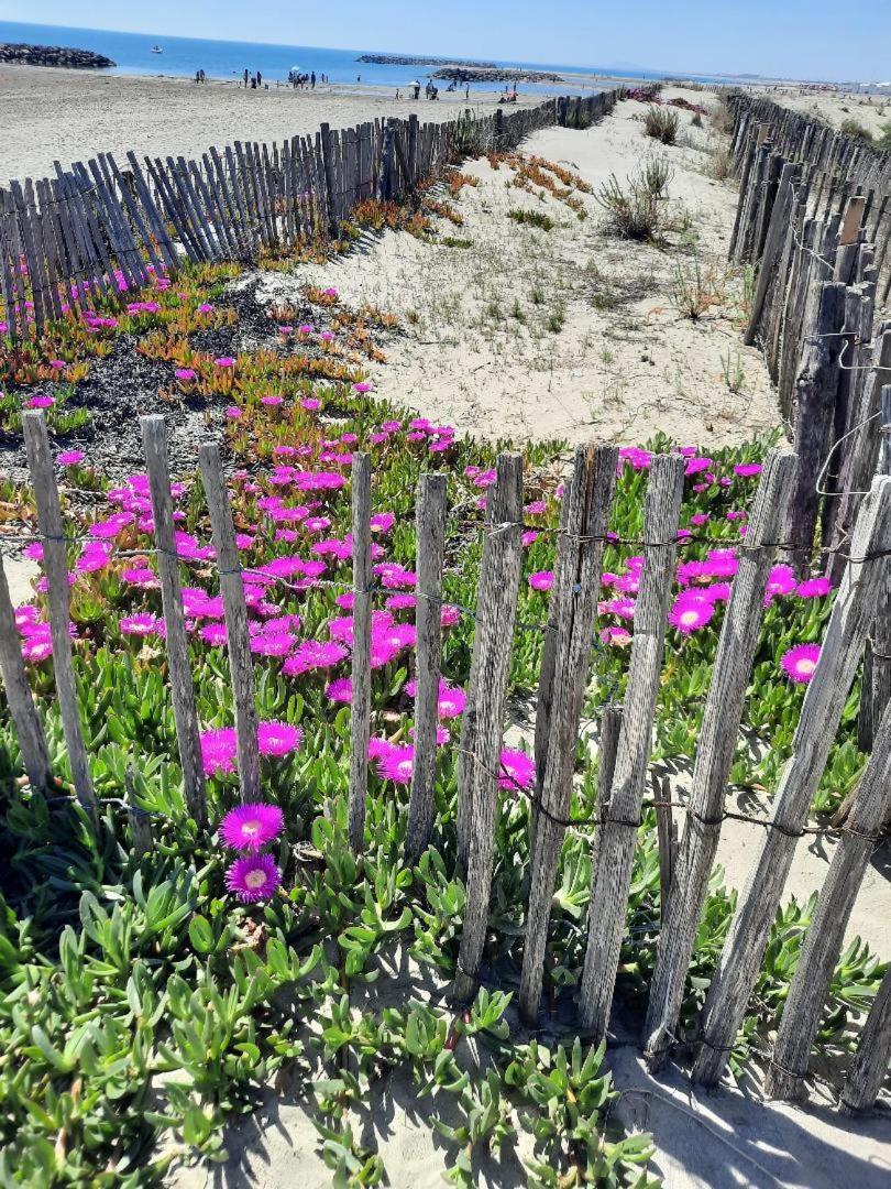 Maison A Marseillan Plage Esterno foto